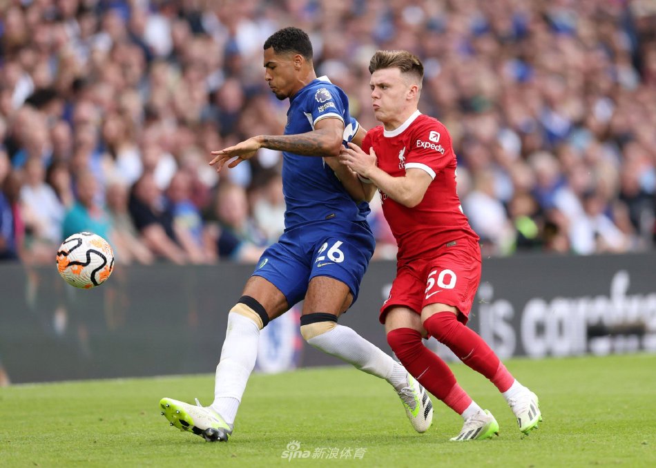 一家市值高 一家市值高